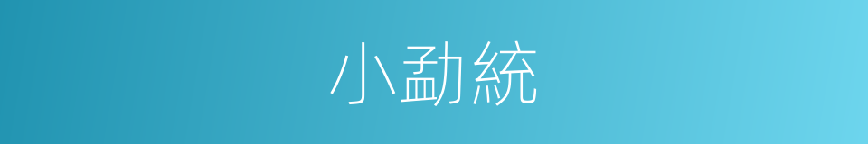 小勐統的同義詞