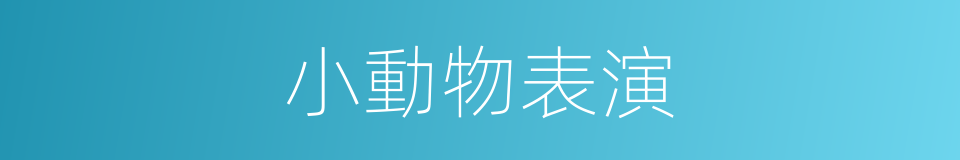 小動物表演的同義詞