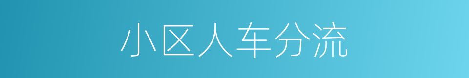 小区人车分流的同义词