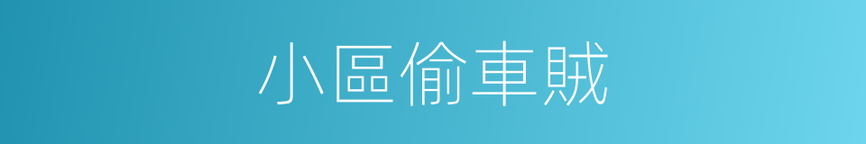 小區偷車賊的同義詞