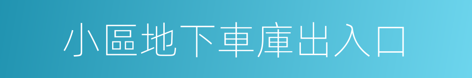 小區地下車庫出入口的同義詞