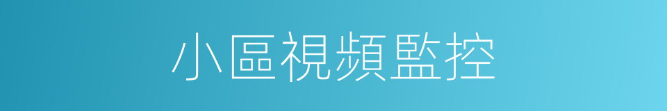 小區視頻監控的同義詞