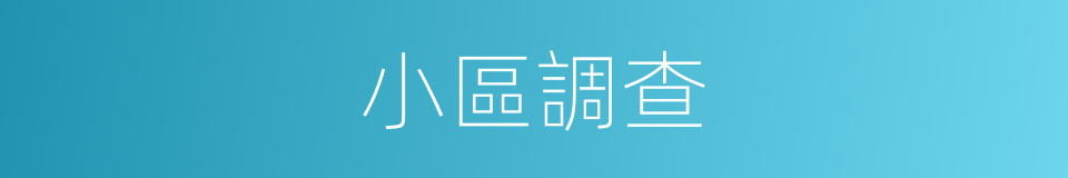 小區調查的同義詞