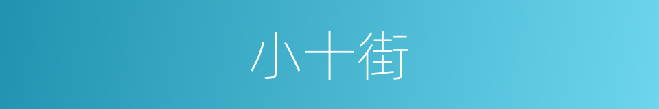 小十街的同义词