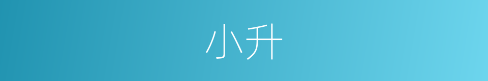 小升的意思