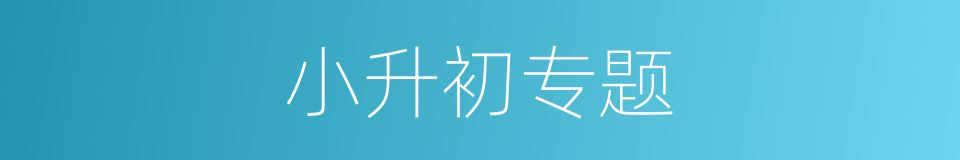 小升初专题的同义词