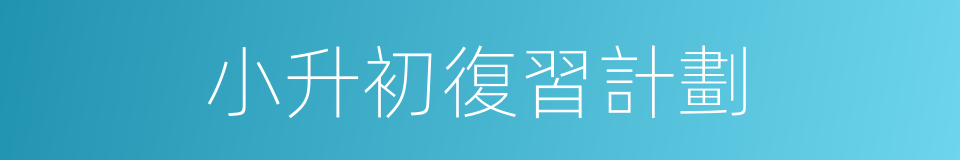 小升初復習計劃的同義詞