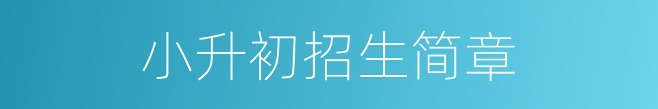小升初招生简章的同义词
