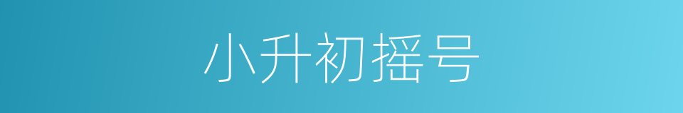 小升初摇号的同义词