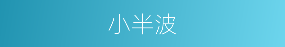 小半波的同义词