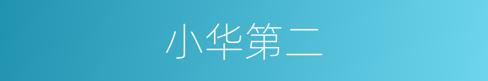 小华第二的同义词