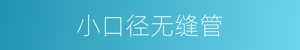 小口径无缝管的同义词