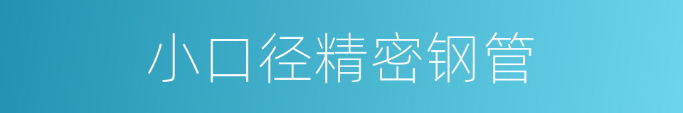 小口径精密钢管的同义词