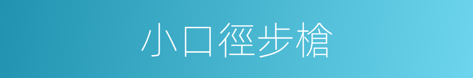 小口徑步槍的同義詞