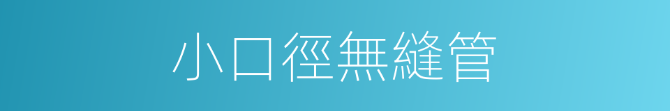 小口徑無縫管的同義詞