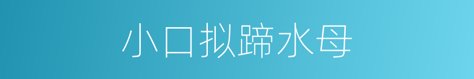 小口拟蹄水母的同义词