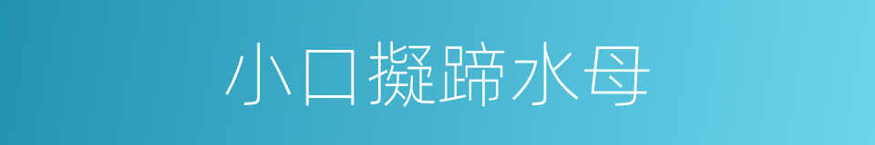 小口擬蹄水母的同義詞
