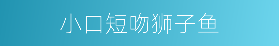 小口短吻狮子鱼的同义词