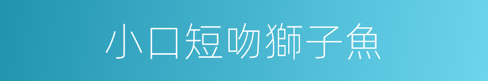 小口短吻獅子魚的同義詞