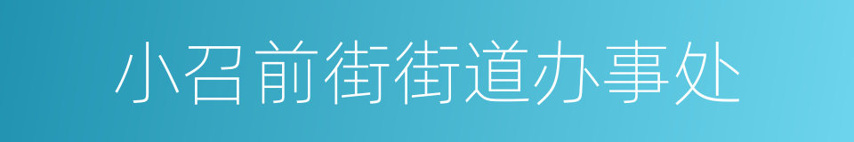 小召前街街道办事处的同义词