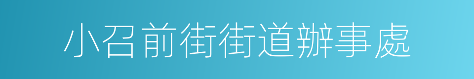 小召前街街道辦事處的同義詞