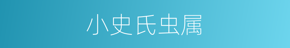 小史氏虫属的同义词