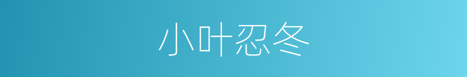 小叶忍冬的同义词