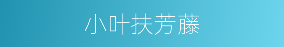 小叶扶芳藤的同义词