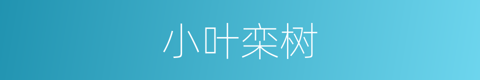 小叶栾树的同义词
