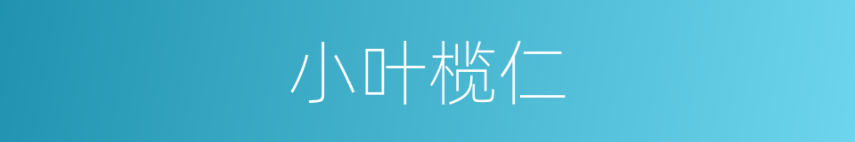 小叶榄仁的同义词