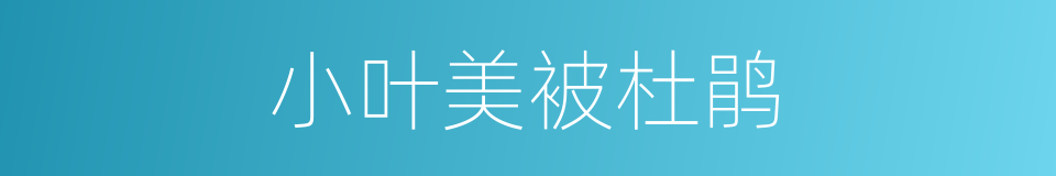 小叶美被杜鹃的同义词