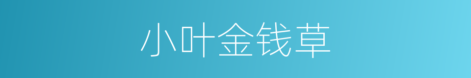 小叶金钱草的同义词