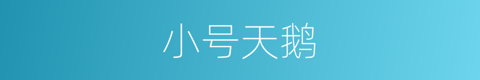 小号天鹅的同义词