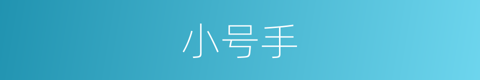 小号手的同义词