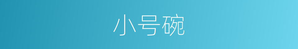 小号碗的同义词