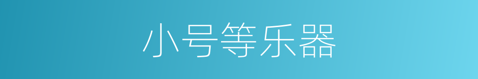 小号等乐器的同义词