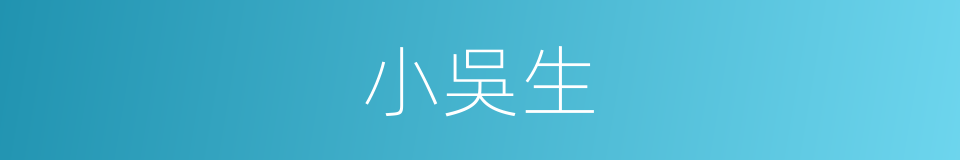 小吳生的意思