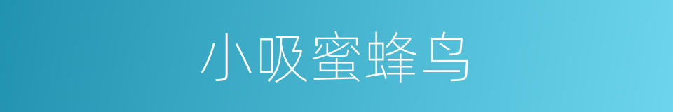 小吸蜜蜂鸟的同义词