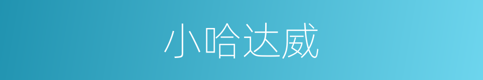 小哈达威的同义词