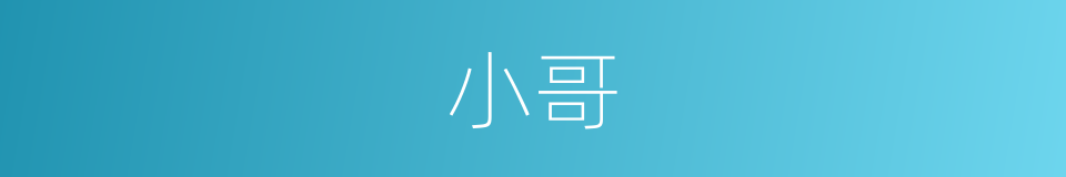小哥的意思
