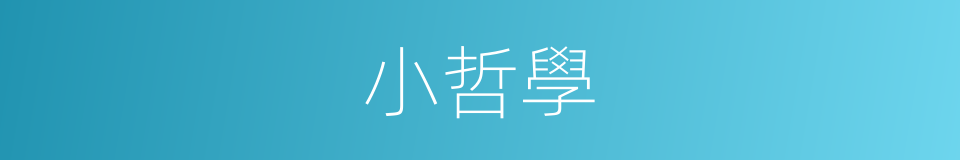 小哲學的同義詞