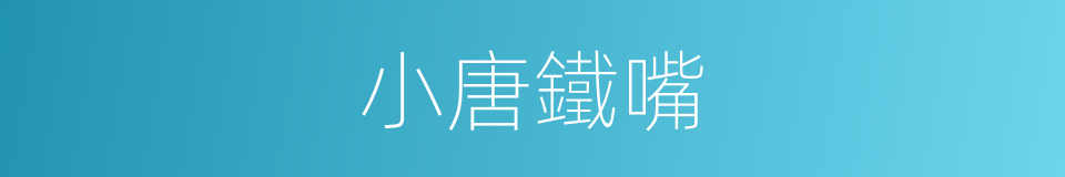 小唐鐵嘴的同義詞
