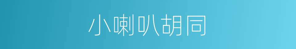 小喇叭胡同的同义词