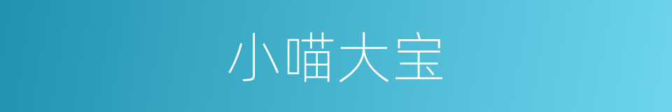 小喵大宝的同义词