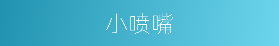 小喷嘴的同义词