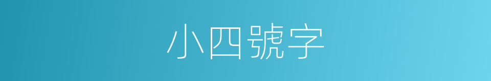 小四號字的同義詞