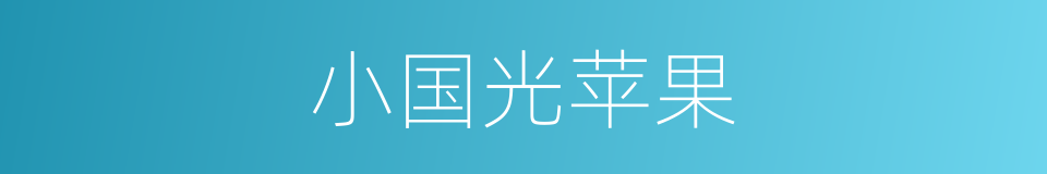 小国光苹果的同义词