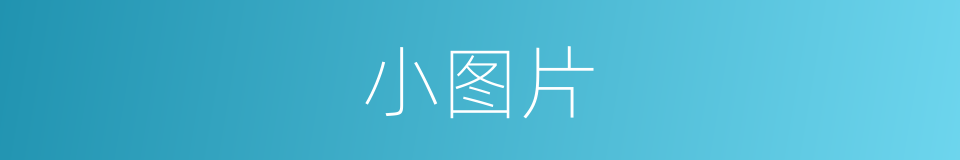 小图片的同义词