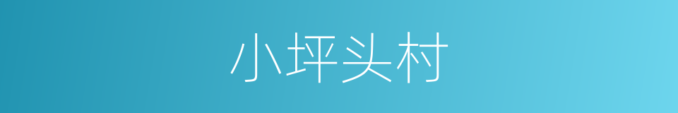 小坪头村的同义词