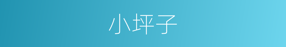 小坪子的同义词